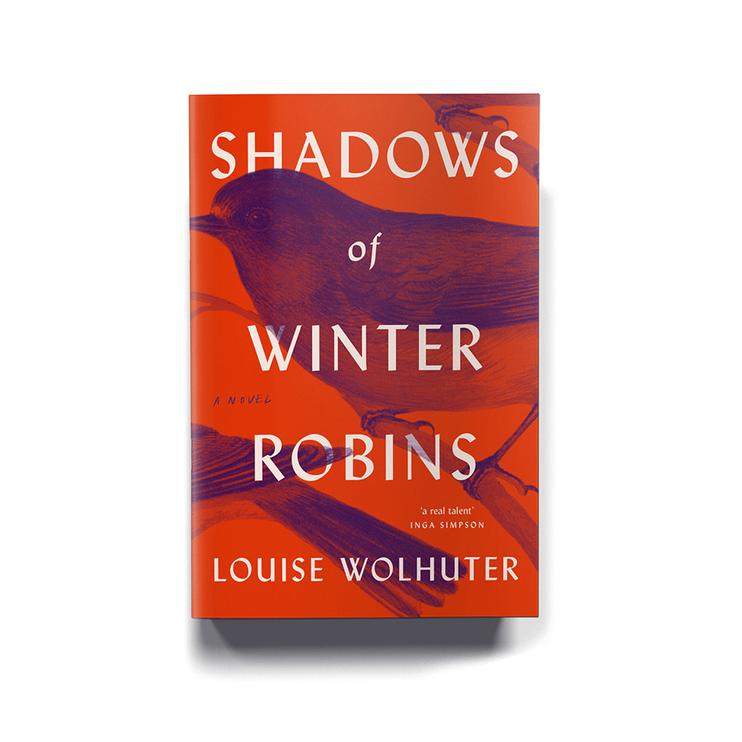 Shadows of Winter Robins