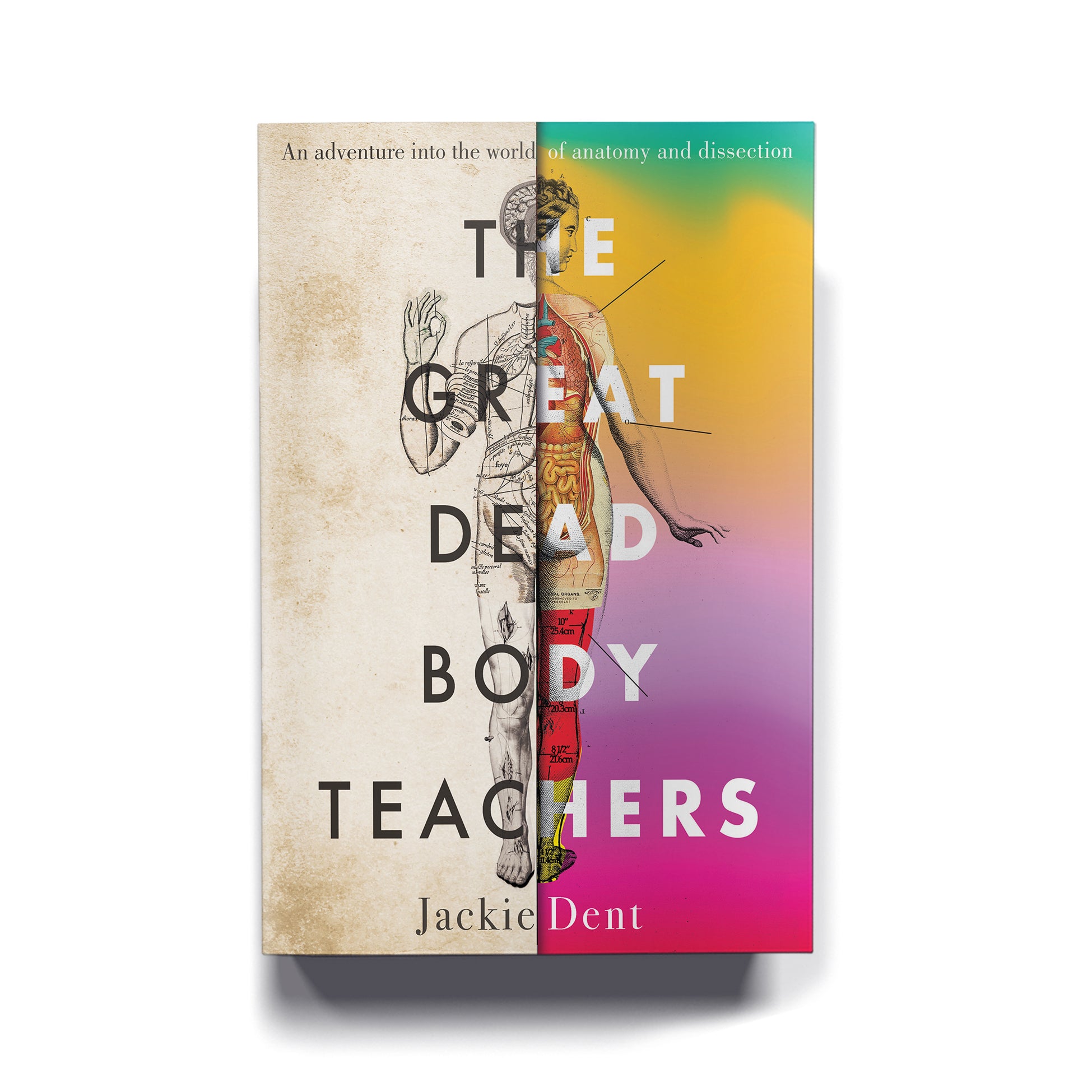 The Great Dead Body Teachers